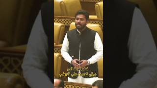 Kot Addu Punjab Assembly shortvideo shorts feedshorts viralvideo vlog video [upl. by Cornall]