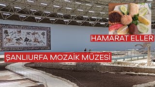 HALEPLİ BAHÇE MOZAİK MÜZESİ  HAMARAT ELLER  ŞANLIURFA [upl. by Primalia247]