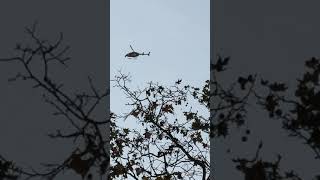 I Didn’t Realize that the Camera was On  Franklin Square  PATCO  Helicopter  Tue 10292024 [upl. by Eveneg331]