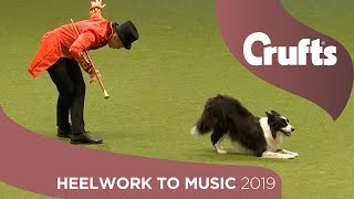 The Greatest Chowman Epic Heelwork To Music Performance  Crufts 2019 [upl. by Elberta]