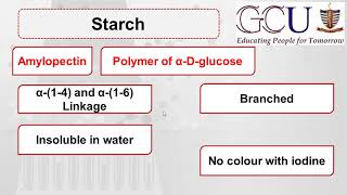 Biochem15  Starch  Structure of Amylose  Structure of Amylopectin  Sources and Digestion [upl. by Kciredohr]