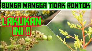 Tips Agar Bunga Buah Mangga Tidak Rontok [upl. by Aissatsana]