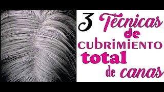 COMO CUBRIR TOTALMENTE LAS CANAS CON ESTAS 3 TÉCNICAS FÁCIL Y RÁPIDOHOW TO COVER TOTALLY THE grays [upl. by Sonnnie903]