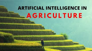 How AI can transform Agriculture  Explained in Hindi [upl. by Ynettirb352]