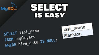 MySQL How to SELECT data from a TABLE [upl. by Damicke300]