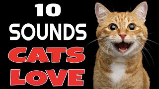 10 Sounds Cats Love To Hear The Most [upl. by Kawai913]