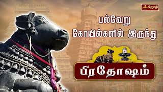 விதியை வெல்லும் பிரதோஷ வழிபாடு  Pradosham பல்வேறு கோவில்களில் இருந்து  Pradosham  Jothitv [upl. by Ecinev914]