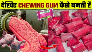 Chewing Gum कैसे बनती है Chewing Gum kaise Banti Hai  How Chewing Gum is Made  Chewing Gum Making [upl. by Ranit669]