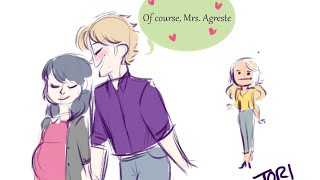 quotMr and Mrs Agrestequot Miraculous Ladybug Comic Dub [upl. by Rosati]