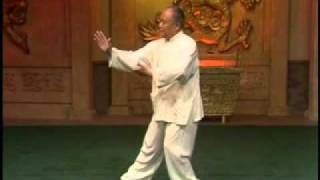 Yang Style Taijiquan 103 form  Part 1 [upl. by Anitsugua401]