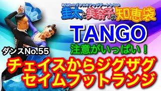 【社交ダンス】チェイス〜ジグザグ〜セイムフット TANGO 圭太と美奈子の知恵袋 [upl. by Haeel283]