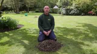 Hollow Tine Aeration  Why We Aerate Lawns [upl. by Gnauq]