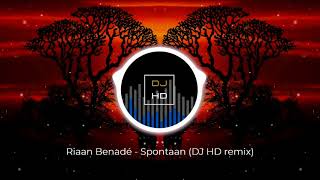 Riaan Benadé  Spontaan DJ HD remix [upl. by Natala]