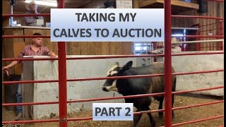 RAISING BEEF CATTLE FOR BEGINNERS – Taking My Calves to Auction Part 2 [upl. by Ricardama]