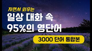 자면서 영어듣기｜직접 녹음한AI❌ 일상 대화의 95 를 차지하는 영단어 3000단어 발음 연습 통합본｜영단어 ASMR [upl. by Cioffred]