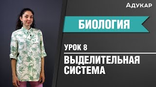 Выделительная система человека Биология ЦТ ЕГЭ [upl. by Eiznikcm]