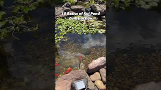 Creating Your Dream Koi Pond 10 Essential Steps [upl. by Itsym]