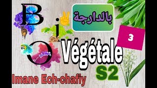 cours de biologie vegetale S2 les thallophytes3eme partie [upl. by Aitel855]