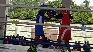 BSHigh School SundargarhRed🆚GovtGirls High School Telendihi District Level BOXING 2024 U14Girl [upl. by Gualterio]