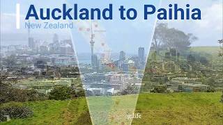 New Zealand Auckland to Paihia [upl. by Desimone]