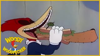 Woody Woodpecker  Dippy Diplomat  Full Episodes [upl. by Annaihr]