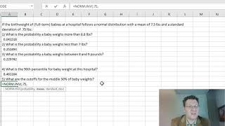 MAT240 Module 4 Normal and T Probabilities in Excel [upl. by Rosemary251]