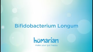 Bifidobacterium Longum [upl. by Jakie187]