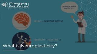 What is Neuroplasticity [upl. by Esilana]