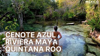 El Cenote Azul de la Riviera Maya  En Puerto Aventuras cerca de Playa del Carmen [upl. by Oiluarb]