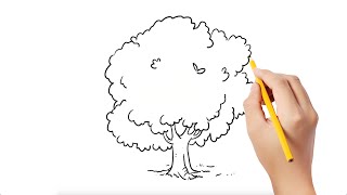 Apprendre à dessiner un arbre  Comment dessiner un arbre  Apprendre à dessiner how to draw trees [upl. by Drucie]