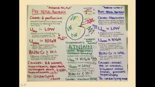 Introduction to Renal Failure  CRASH Medical Review Series [upl. by Refotsirk441]