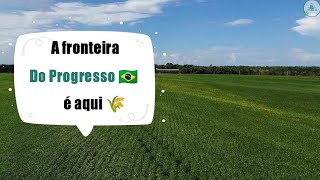 🔰 Fazenda Agro Debastiani plantio de soja 1° ano a fronteira do progresso é aqui 🇧🇷 [upl. by Auqinom761]