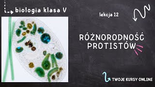 Biologia klasa 5 Lekcja 12  Różnorodność protistów [upl. by Anayaran]