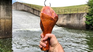 This Bait Caught The BIGGEST of The YEAR Surprise Catch [upl. by Uzzia]