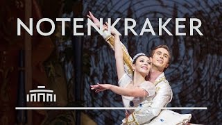 The Nutcracker and the Mouse King Notenkraker 2016 Dutch National Ballet [upl. by Aij]