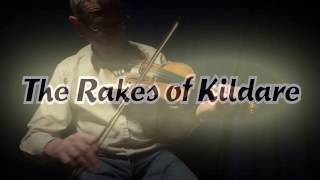 Rakes of Kildare Jig [upl. by Wellington9]