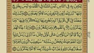 Quran Para 8 with Urdu Translation  Recitation  Mishary Rashid Alafasy [upl. by Aurie]