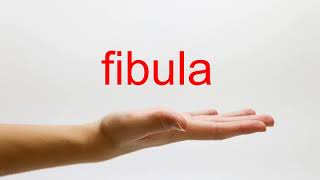 How to Pronounce fibula  American English [upl. by Assadah]