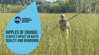 Ripples of Change  Climates Impacts on Water and Manoomin [upl. by Alakam]