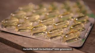 Product Spotlight Herbalifeline Max  NL [upl. by Lilith619]