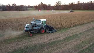 Harvest 2020 with Gleaner F2 and F3 Combines [upl. by Meibers]