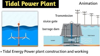 tidal energy  tidal power plant in hindi  animation  working  barrage type  double basin type [upl. by Wrennie]