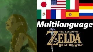 Despair Multilanguage  Memory 16  Zelda Breath of the Wild [upl. by Attenborough]