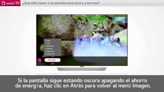 LG SmartTV con webOS la pantalla se muestra oscura o borrosa [upl. by Allertse970]