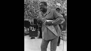 Albert King  Grant Park  Chicago Blues Festival  61168 SBD  Full Concert [upl. by Alejandra]