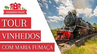 Passeio de trem Maria Fumaça e Vinhedos em Gramado [upl. by Eivla109]