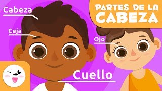 Las partes del cuerpo  La cabeza  Vocabulario para niños [upl. by Kciredorb]