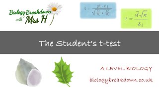 Students ttest Paired and Unpaired  A Level Biology [upl. by Nyvar521]