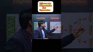 difference between fragmentation and regeneration shorts biology class10 [upl. by Otrebtuc24]