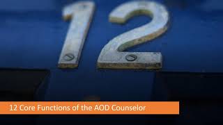 Addictions Counselor Core Skills Part I The 12 Core Functions [upl. by Taft]